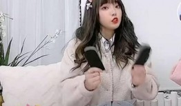 网红黑料社,揭开网络舆论背后的真相