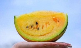 吃瓜网官网 吃瓜网,网络舆论风向标，带你领略热点事件背后的真相